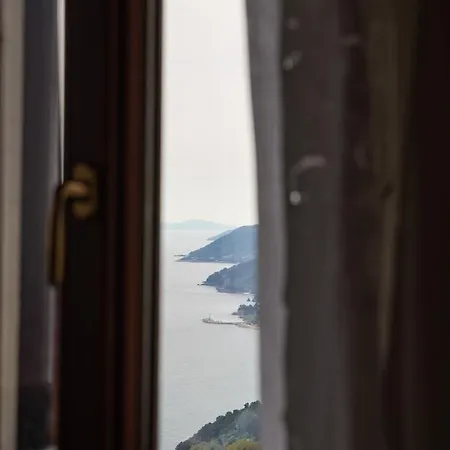 Notas Pelion Seaview